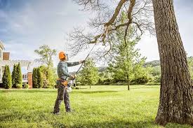 Best Tree Trimming and Pruning  in Glenville, CT